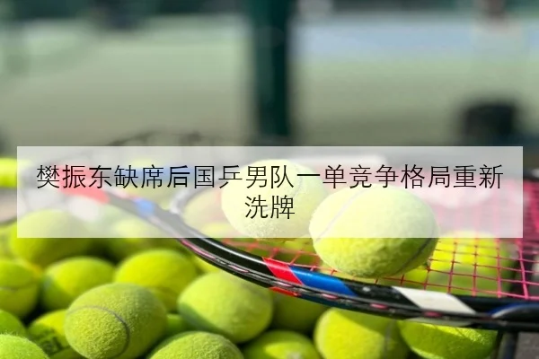 樊振东缺席后国乒男队一单竞争格局重新洗牌